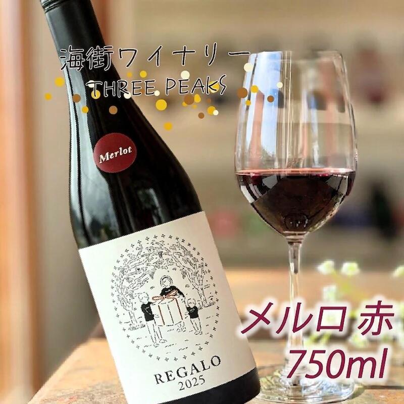-大船渡で造るワイン- メルロ 赤ワイン 辛口 750ml スリーピークスワイナリー ワイン 海街 果実酒 ぶどう 手作り ワイナリー 晩酌 贈り物 ギフト プレゼント お土産