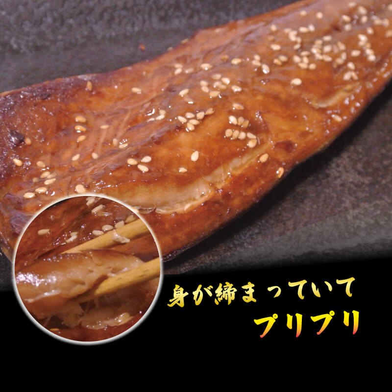 さば みりん干し 2枚入り×4パック 鯖 さば サバ 海鮮 魚貝類 魚介類 みりん干し ごま 醤油 漬け ご飯 おかず 夕飯 夕ご飯 テレビ TV 放送 ニュース 番組 大船渡 大船