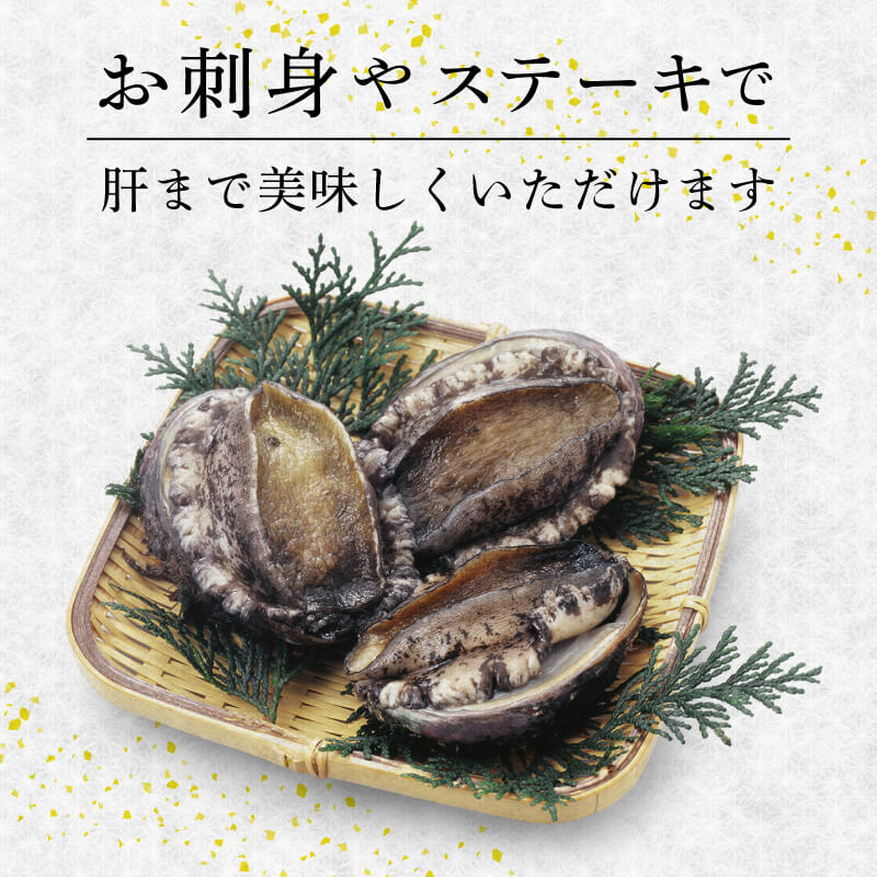 蝦夷あわび 約1kg 冷凍 鮑 あわび アワビ 鮑 Abalone ステーキ  バターソテー 正月 お正月 おせち 刺し身 刺身 バーベキュー BBQ ごはん 夕飯 おかず おつまみ 晩酌 米 丼 海