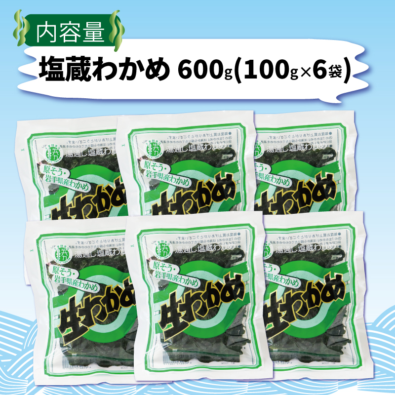 岩手県産 塩蔵わかめ 600g(100g×6) わかめ ワカメ 若芽 湯通し 海藻 海産物 味噌汁 ごはん 夕飯 おかず 小分け 個包装 サラダ お刺身 刺し身 刺身 三陸 岩手県 国産 大船渡