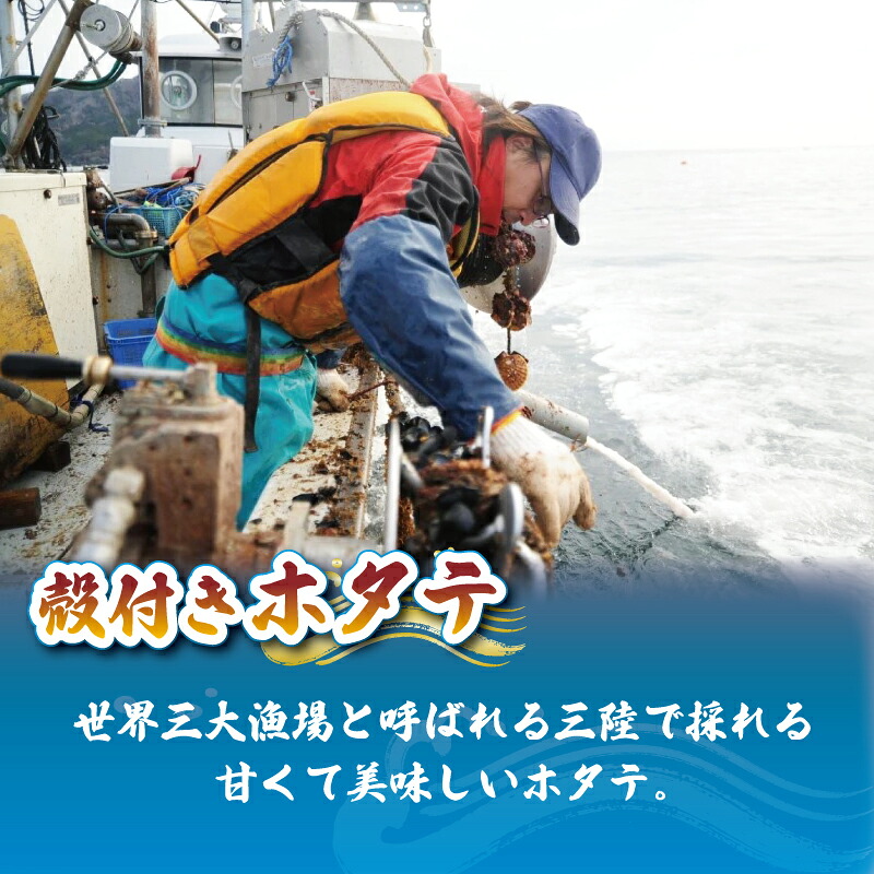 三陸産 特Lサイズ 活ほたて 6枚 ほたて ホタテ 帆立 hotate 殻付きほたて 活ほたて 刺身 おさしみ 新鮮 お取り寄せ グルメ 三陸ほたて 国産ほたて 新鮮ほたて 大船渡 三陸 岩手県 国産