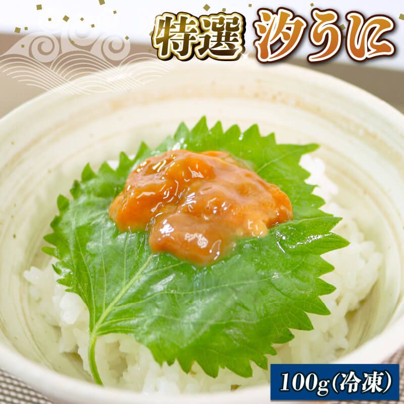 三陸産 汐うに 100g 特選 潮うに 岩手県産ウニ 塩うに 三陸産ウニ ウニ丼 魚介 海産物 海の幸 うに丼 刺身 惣菜 加工品 ご飯のお供 ウニ 国産 岩手県産