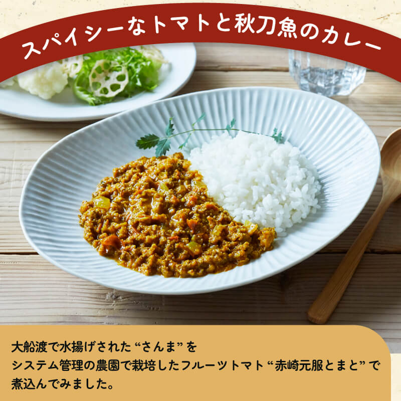 トマさんソース スパイシートマカレー味 1.2kg（300g×4缶） おかず 魚介 おつまみ 保存食 防災 備蓄 非常食 さんま 被災 災害 火災 支援 震災 大船渡 大船渡市 三陸 岩手県