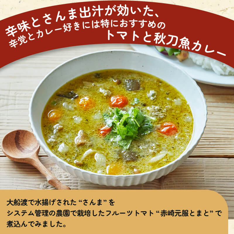 トマさんソース (グリーンカレー味) 300g×4缶 計1.2kg 缶詰 おかず 魚介 おつまみ 缶詰 保存食 防災 備蓄 非常食 缶詰 さんま トマト 被災 震災 火災 災害 支援 大船渡 大船渡市