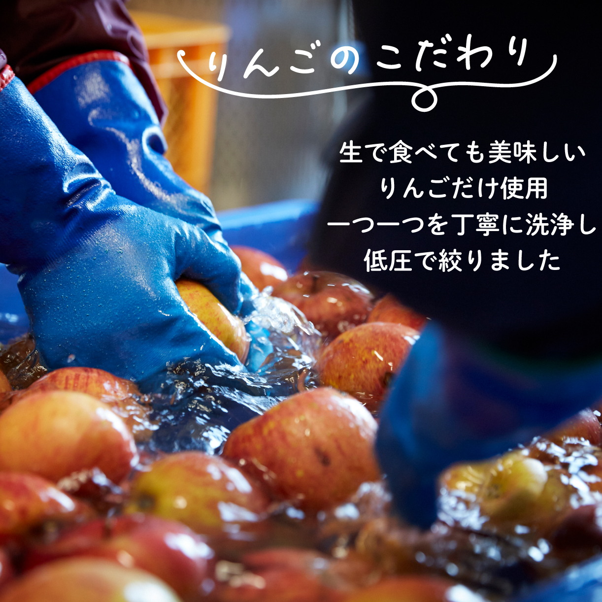 アップル シードル 750ml 1本 りんご 林檎 酒 果実酒 スパークリングワイン 米崎りんご 父の日 ギフト シードル アップルワイン ワイン 夏ギフト 冬ギフト お中元 御中元