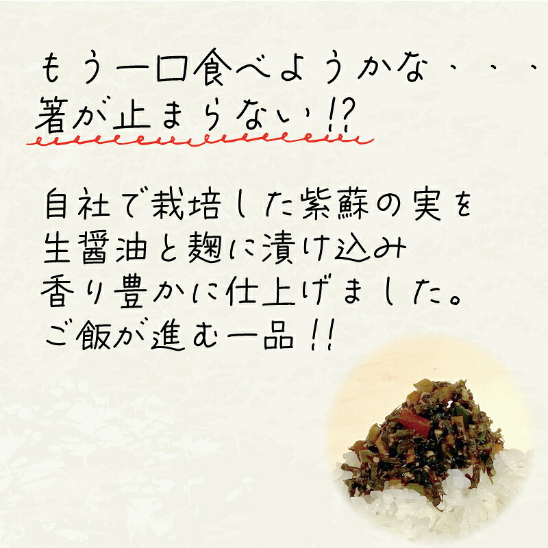漬物 ごはんへらし 400g (100g×4) 小分け [発送:2026年11月～] ご飯のお供 紫蘇の実 被災 震災 災害 火災 支援 大船渡 大船渡市 三陸 岩手県