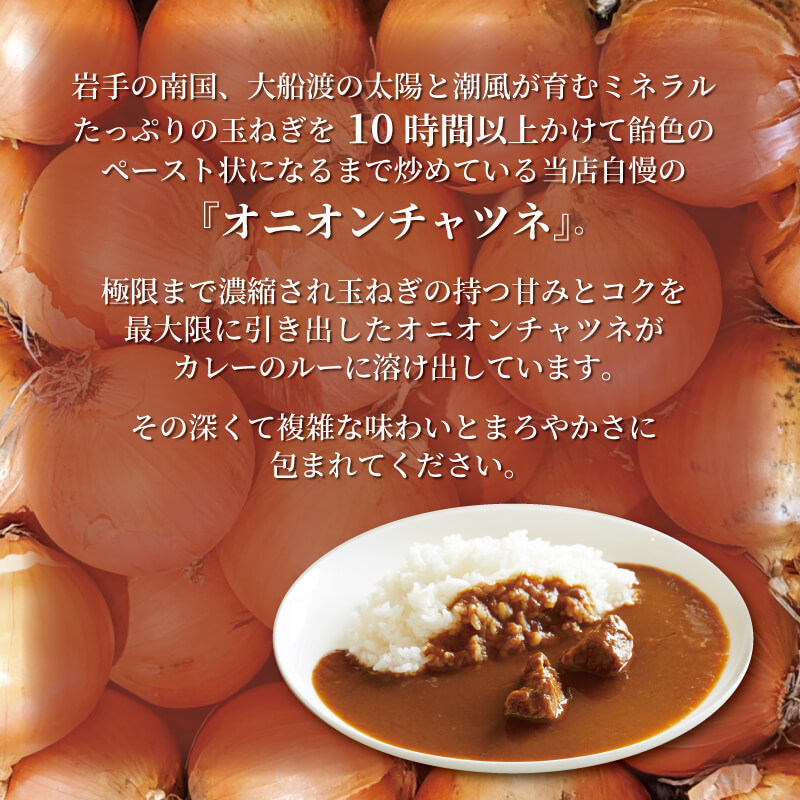 レトルトカレー 2種 × 2個 4個 カレー レトルト 辛口 中辛 ビーフカレー 玉ねぎ オニオンチャツネ スパイス スパイシー 詰め合わせ 簡単 時短  ごはん 夕飯 おかず 常温 保存 大船渡