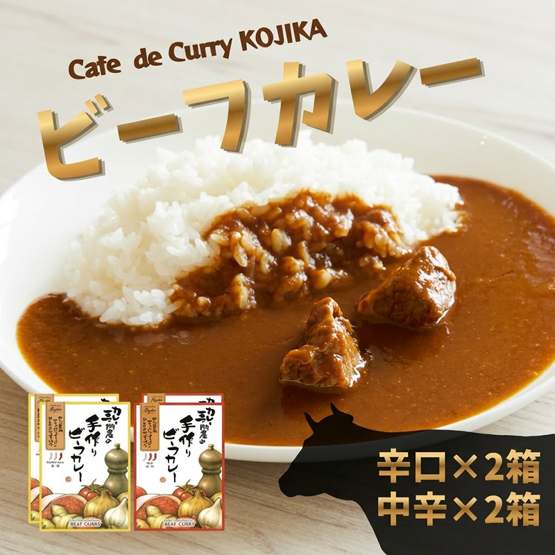 レトルトカレー 2種 × 2個 4個 カレー レトルト 辛口 中辛 ビーフカレー 玉ねぎ オニオンチャツネ スパイス スパイシー 詰め合わせ 簡単 時短  ごはん 夕飯 おかず 常温 保存 大船渡