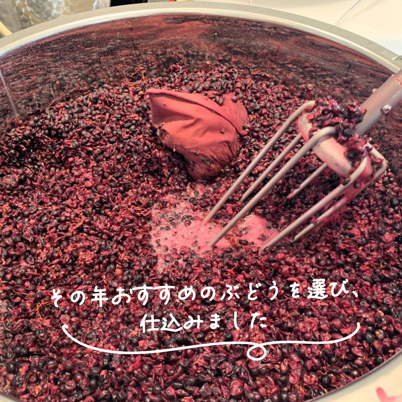 メルロ ピノグリ 2本セット 750ml ワイン 日本ワイン 酒 お酒 アルコール 辛口 赤 白 果実酒 ぶどう 晩酌 飲料 飲み物 夕飯 土産 お土産 手土産 イベント プレゼント