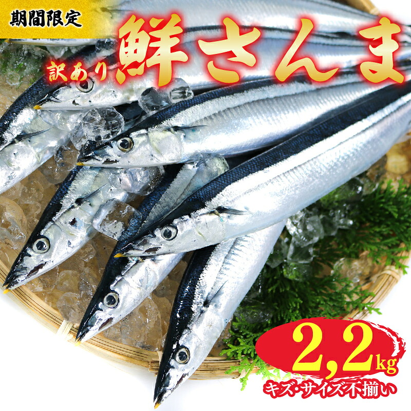 【期間限定】 訳あり 鮮さんま 約2.2kg 冷蔵 サンマ 秋刀魚 さんま 旬 海鮮 魚貝類 魚介類 産地直送 期間限定 季節限定 予約 旬の鮮魚 旬 秋の味覚 新鮮さんま 鮮魚 魚 焼き魚 大船渡