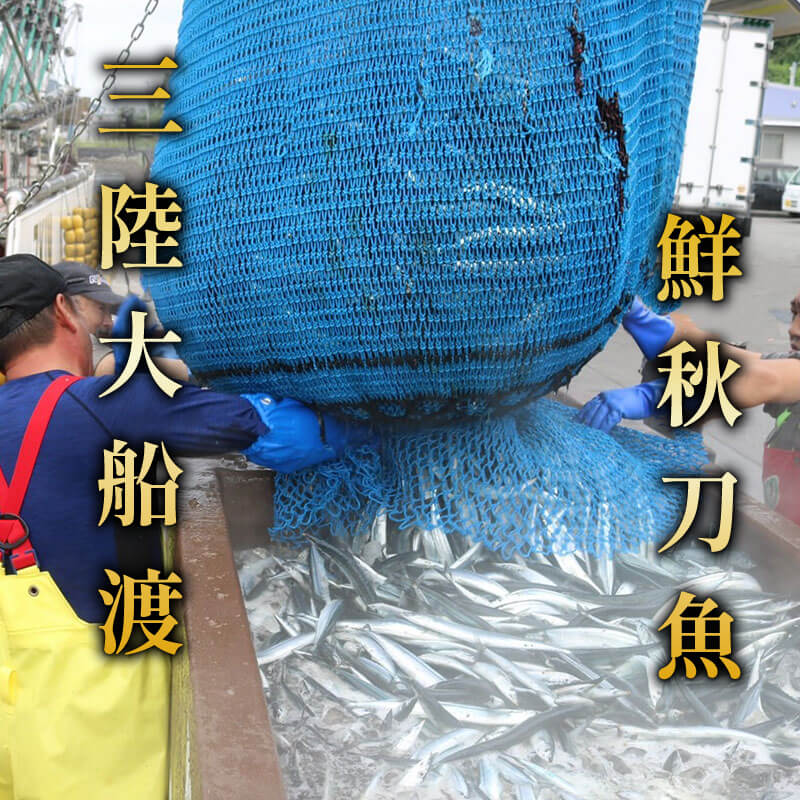 【期間限定】 訳あり 鮮さんま 約2.2kg 冷蔵 サンマ 秋刀魚 さんま 旬 海鮮 魚貝類 魚介類 産地直送 期間限定 季節限定 予約 旬の鮮魚 旬 秋の味覚 新鮮さんま 鮮魚 魚 焼き魚 大船渡
