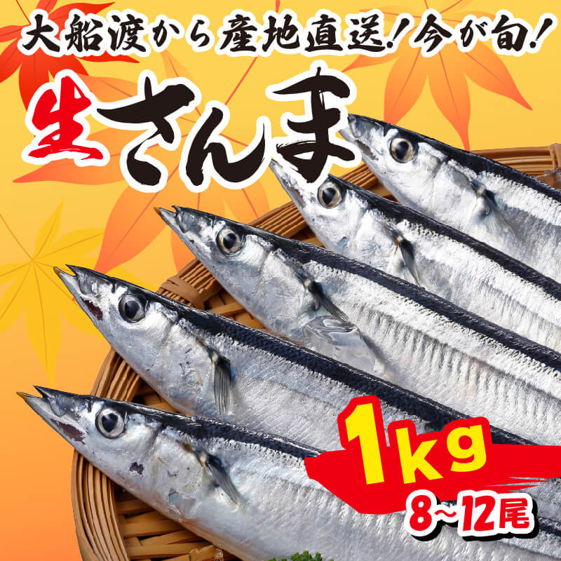 さんま 約1kg 8尾～12尾 冷蔵 鮮秋刀魚 [発送:2026年9月～2026年11月下旬] 冷蔵さんま 新鮮 鮮度 産地直送 さんま祭り サンマ祭り 肴 つまみ 簡単 大船渡 岩手
