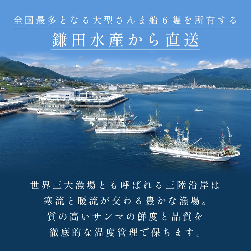 さんま 約1kg 8尾～12尾 冷蔵 鮮秋刀魚 [発送:2026年9月～2026年11月下旬] 冷蔵さんま 新鮮 鮮度 産地直送 さんま祭り サンマ祭り 肴 つまみ 簡単 大船渡 岩手