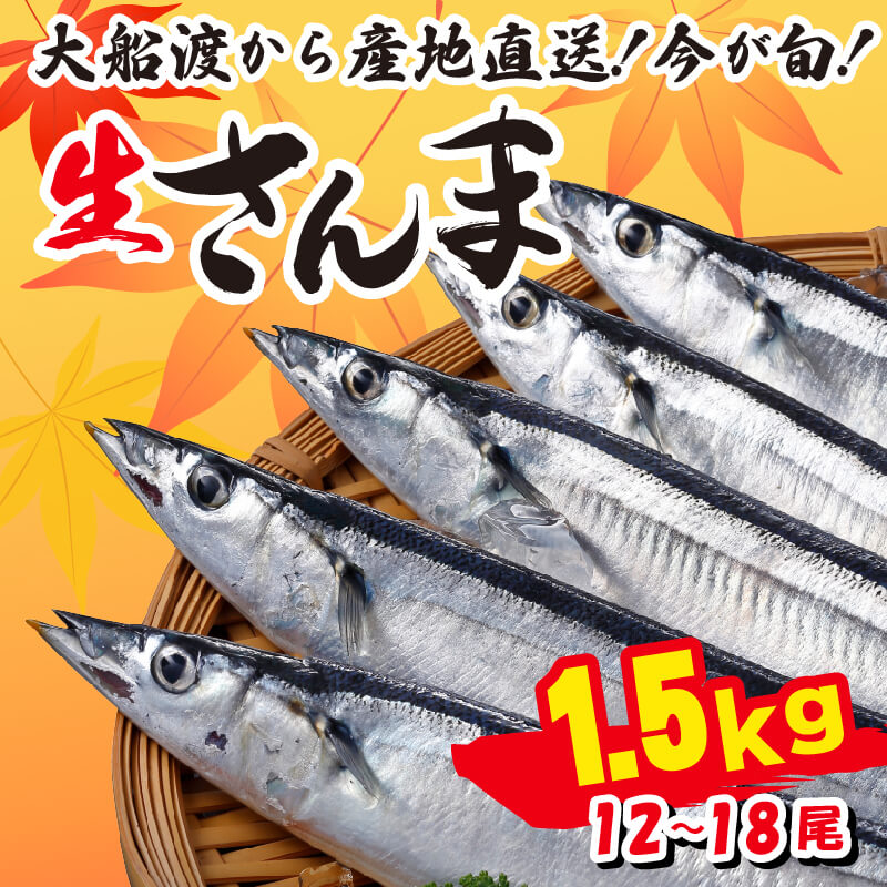 さんま 約1.5kg 12尾～18尾 冷蔵 鮮秋刀魚 期間限定 [発送:2026年9月下旬～2026年11月下旬] 冷蔵さんま 新鮮 鮮度 産地直送 さんま祭り サンマ祭り 大船渡