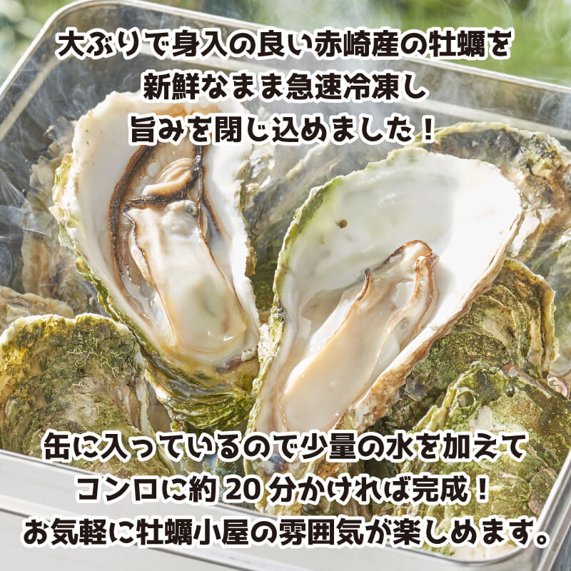 殻付かきのカンカン焼きセット 大10個 加熱用 お代わり牡蠣大12個 かき 牡蠣 カキ  オイスター oyster アヒージョ バーベキュー BBQ フライ 揚げ物 鍋 ごはん 夕飯 おかず おつまみ