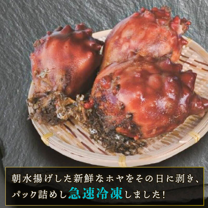 むきホヤ600g (150g×4P) ほや ホヤ 海鞘 旬 お刺身 海鮮 魚貝類 魚介類 冷凍 お酒のあて おつまみ 晩酌 珍味 新鮮 Hoya おさしみ 串焼き フライ 魚介 父の日 大船渡 三陸