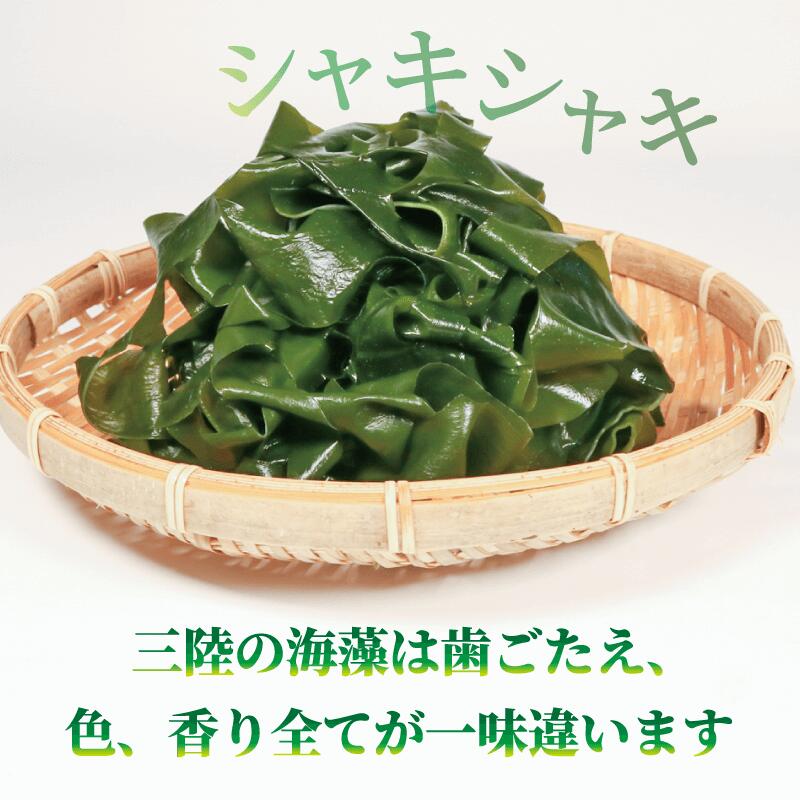 三陸 大船渡産 海藻 味わいつくしセットA（わかめ100g、茎わかめ200g、きざみ昆布200g）各1袋 計500g わかめ 若布 ワカメ wakame 塩蔵わかめ 三陸わかめ 昆布
