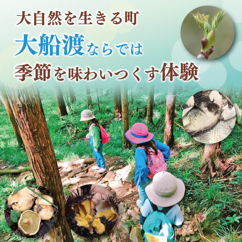 季節の三陸体験 体験チケット 選べる 1名様～3名様分/1体験 三陸アクティブ 三陸 大船渡 体験