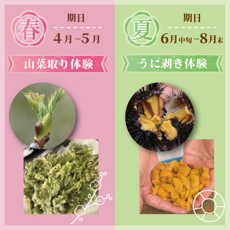 季節の三陸体験 体験チケット 選べる 1名様～3名様分/1体験 三陸アクティブ 三陸 大船渡 体験