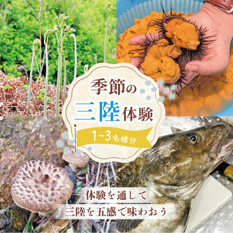 季節の三陸体験 体験チケット 選べる 1名様～3名様分/1体験 三陸アクティブ 三陸 大船渡 体験