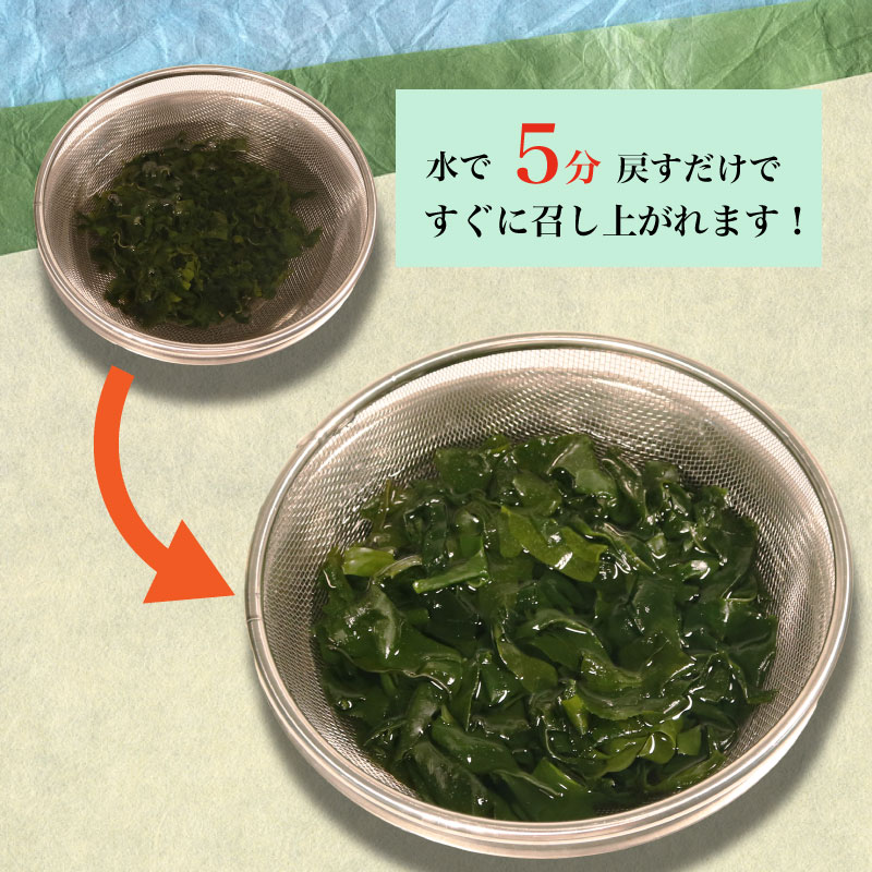 三陸産 乾燥カットわかめ 選べる 7袋 14袋 (18g/袋) わかめ ワカメ 小分け 常備品 海藻 岩手県 大船渡 味噌汁 乾燥ワカメ サラダ 肉厚 国産 ワカメスープ 味噌汁 わかめご飯 カットワカメ 大船渡市 岩手県
