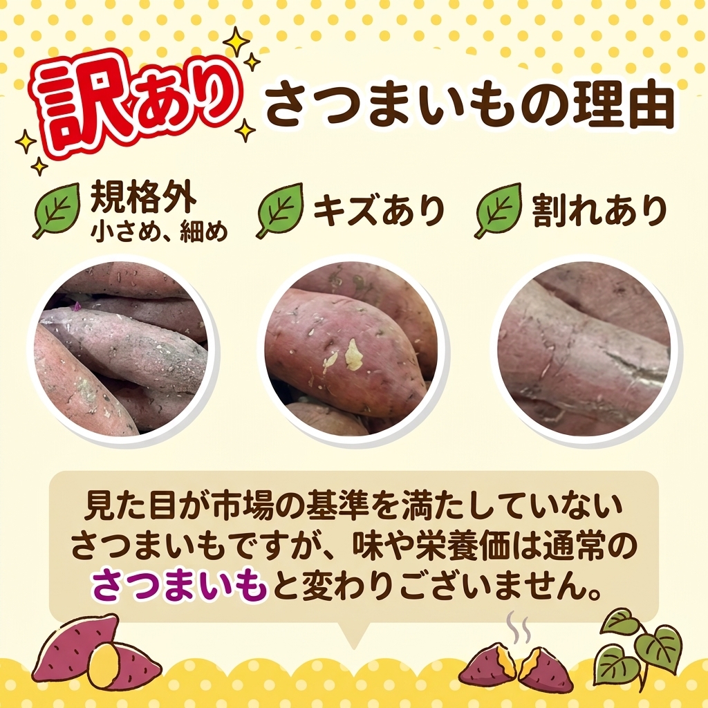 訳あり さつまいも 2kg [2月-7月発送] 規格外 サイズバラバラ 小ぶり サツマイモ 野菜 やさい BBQ バーベキュー 焼き肉 焼肉 お裾分け 食品 栄養 健康 自宅用 お試し 芋 オヤツ