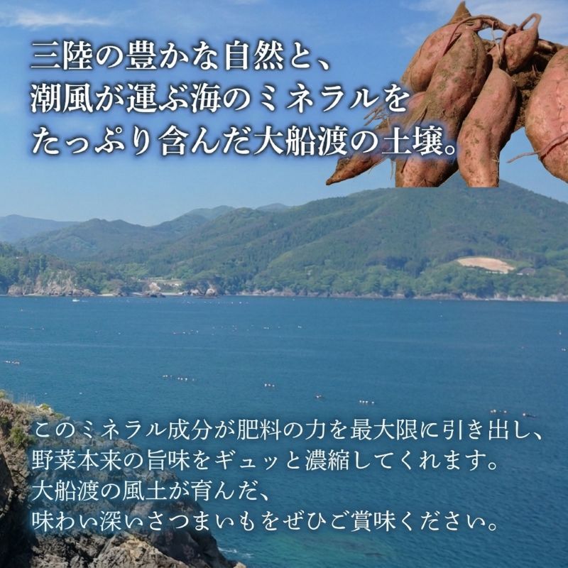 訳あり さつまいも 2kg [2月-7月発送] 規格外 サイズバラバラ 小ぶり サツマイモ 野菜 やさい BBQ バーベキュー 焼き肉 焼肉 お裾分け 食品 栄養 健康 自宅用 お試し 芋 オヤツ