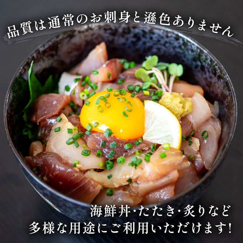訳あり 刺身 切り落とし 50g×12袋 海鮮 魚貝類 魚介類 刺し身 旬の刺身 小分け 手軽 便利 時短 簡単 冷凍 産地直送 三陸産 岩手県 大船渡市
