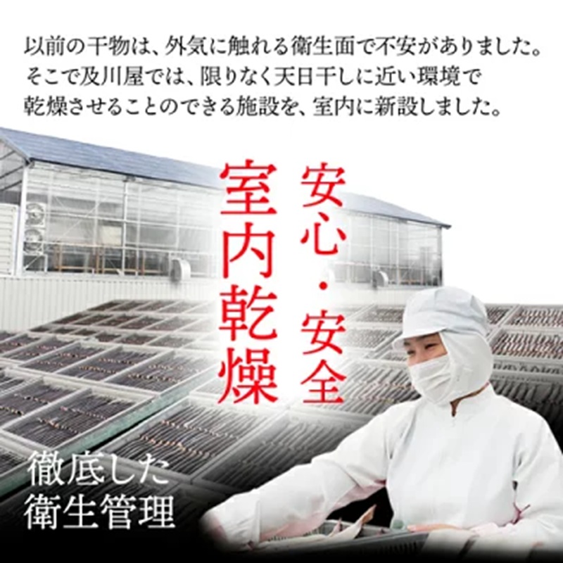 国産 骨取り さんま 選べる 2~6パック 6尾 12尾 18尾 さんま サンマ 秋刀魚 小分け 産地直送 惣菜 海の幸 海鮮 干物 天日干し 真空パック 骨無し 骨なし 骨抜き