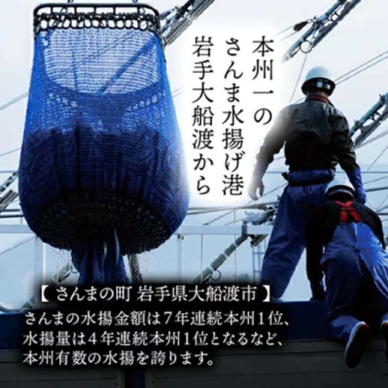 国産 骨取り さんま 選べる 2~6パック 6尾 12尾 18尾 さんま サンマ 秋刀魚 小分け 産地直送 惣菜 海の幸 海鮮 干物 天日干し 真空パック 骨無し 骨なし 骨抜き