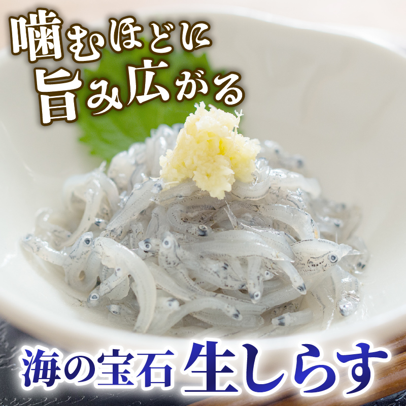 生 小女子(こうなご) 三陸産 数量限定 冷凍 刺身 生食 選べる容量 500g 1kg 小分け 刺身用 生食可能 小女子 コウナゴ 新子 しんこ イカナゴ 稚魚 新鮮 海鮮 魚介 国産 取り寄せ