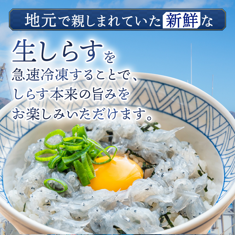 生 小女子(こうなご) 三陸産 数量限定 冷凍 刺身 生食 選べる容量 500g 1kg 小分け 刺身用 生食可能 小女子 コウナゴ 新子 しんこ イカナゴ 稚魚 新鮮 海鮮 魚介 国産 取り寄せ