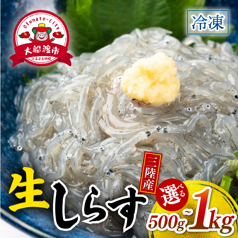 生 小女子(こうなご) 三陸産 数量限定 冷凍 刺身 生食 選べる容量 500g 1kg 小分け 刺身用 生食可能 小女子 コウナゴ 新子 しんこ イカナゴ 稚魚 新鮮 海鮮 魚介 国産 取り寄せ