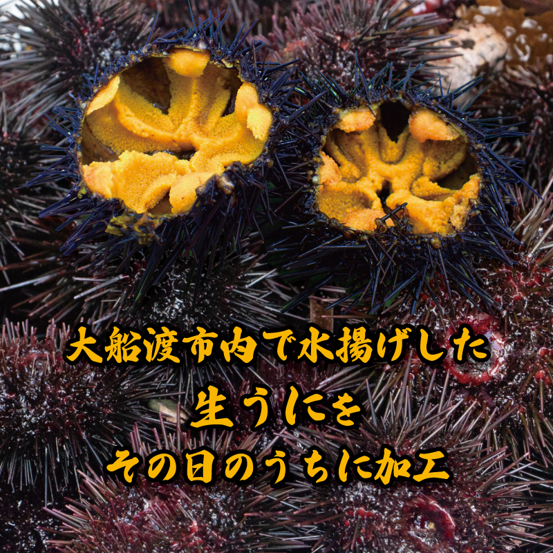 焼きウニの缶詰 1つ 70g 缶詰 三陸産 加工食品 魚貝類 海産物 海の幸 長期保存 つまみ 肴 サラダ パスタ 宅飲み 飲み会 キャンプ アウトドア 防災 備蓄 常温 おかず