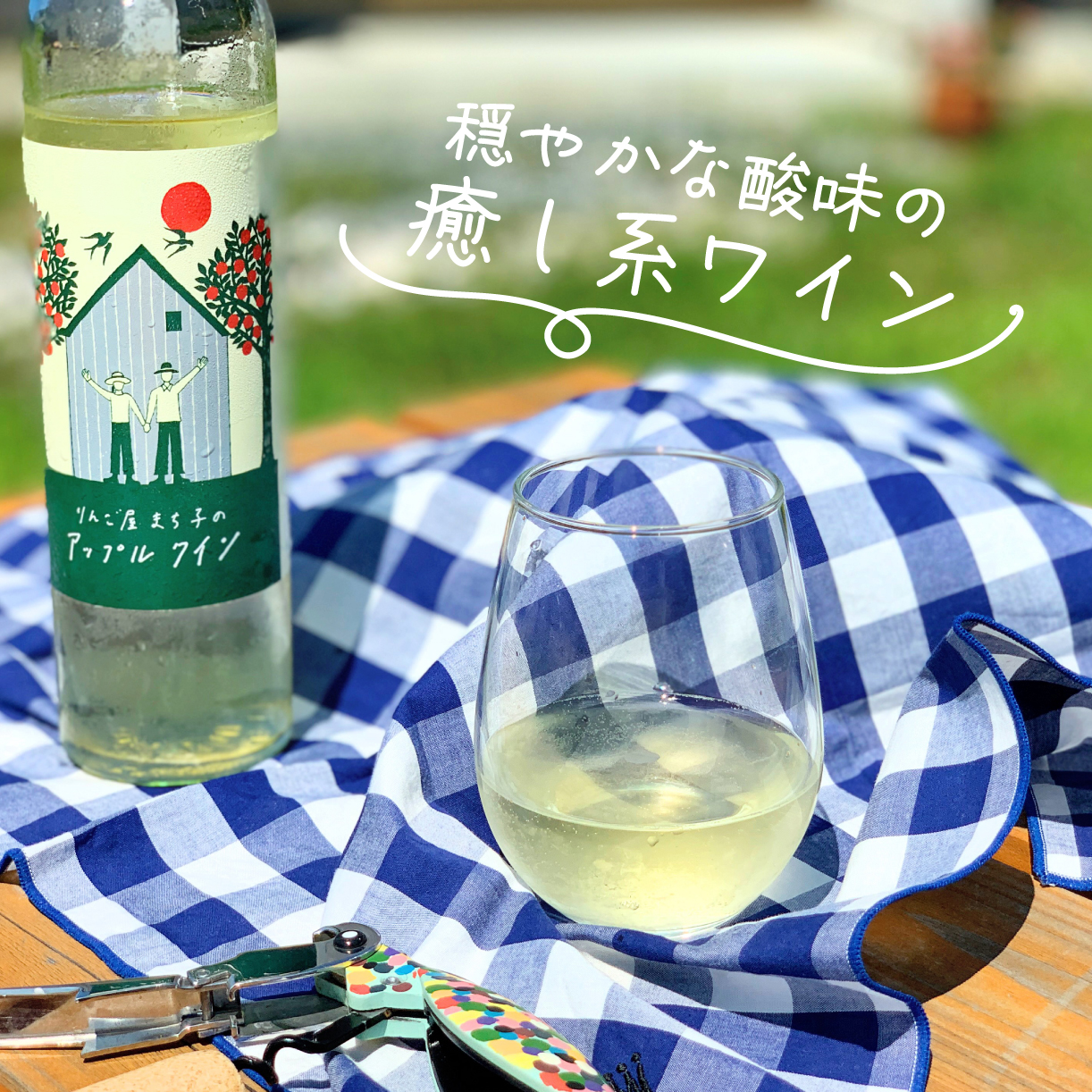 アップルシードル 750ml アップルワイン 500ml 2本セット 国産 白ワイン 白 辛口 りんご 林檎 ランキング りんごワイン 酒 果実酒 お酒 アルコール 飲料 飲み比べ スパークリング