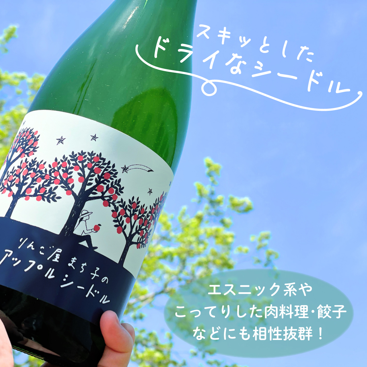 アップルシードル 750ml アップルワイン 500ml 2本セット 国産 白ワイン 白 辛口 りんご 林檎 ランキング りんごワイン 酒 果実酒 お酒 アルコール 飲料 飲み比べ スパークリング