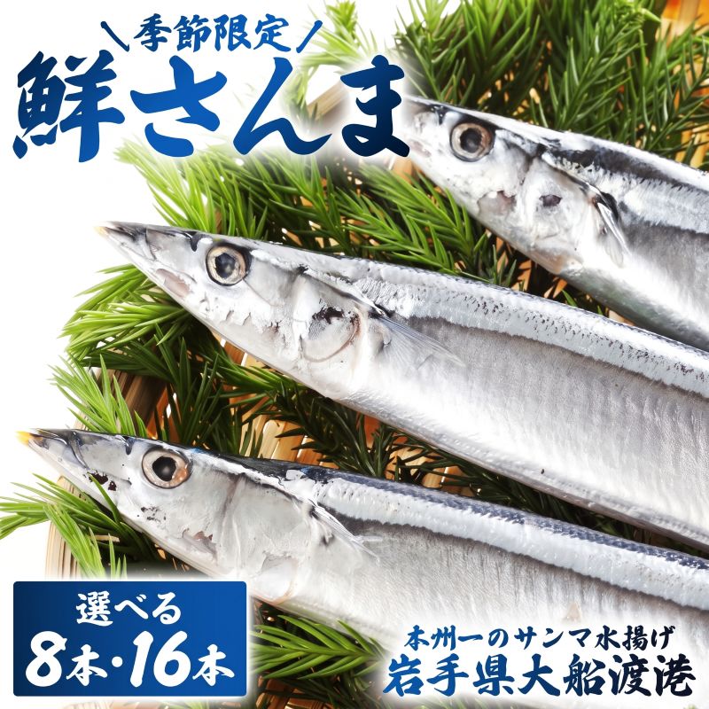 鮮さんま 選べる 8本 16本 (1尾 100g～120g) 岩手大船渡産 生さんま サンマ 秋刀魚 海鮮 魚貝類 魚介類 産地直送 新鮮 期間限定 鮮魚 新鮮さんま 魚 焼き魚 三陸さんま 岩手