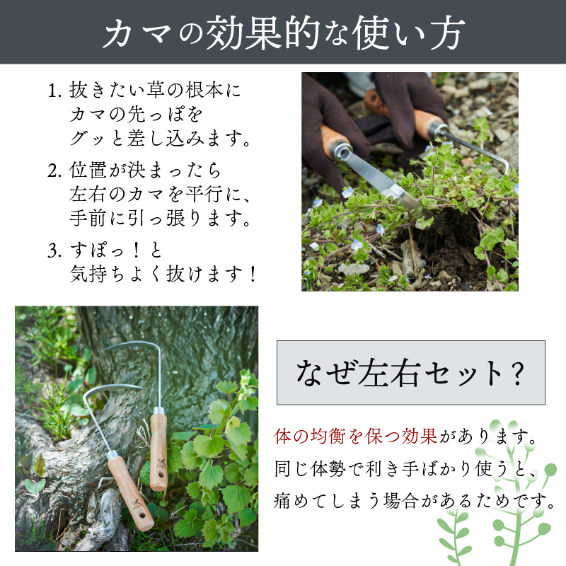 ステンレス 草取り カギカマ 2本セット 選べる 両手用 右手用 鍛冶屋 特製 ナイフ 刃 よく切れる ギフト プレゼント 贈り物 テレビ TV 放送 ニュース 番組 大船渡 大船渡市 三陸
