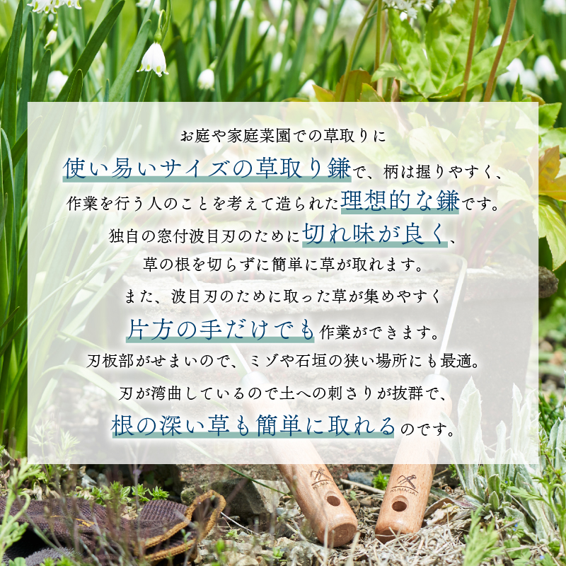 ステンレス 草取り カギカマ 2本セット 選べる 両手用 右手用 鍛冶屋 特製 ナイフ 刃 よく切れる ギフト プレゼント 贈り物 テレビ TV 放送 ニュース 番組 大船渡 大船渡市 三陸