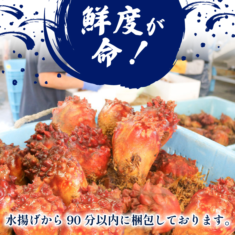 ほや1kg 200g×5 ほや ホヤ Hoya 串焼き フライ ごはん 夕飯 おかず おつまみ 晩酌 海産物 海鮮 魚介 魚介類 大船渡 三陸 岩手県 国産