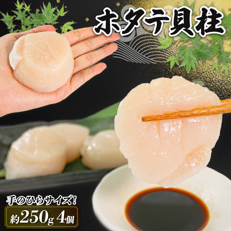 ホタテ貝柱 冷凍 250g ほたて 帆立 貝柱 貝 海鮮 魚貝類 魚介類 ホタテバター 醤油 バター お刺身 刺身 さしみ ご飯 おかず 三陸産 岩手県 大船渡市