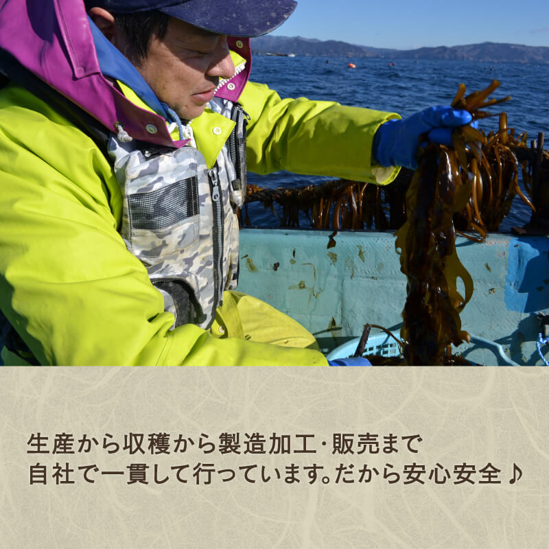 わかめ 400g 湯通し塩蔵わかめ 海鮮 海藻 魚貝類 魚介類 小分け みそ汁 スープ 酢の物 三陸産 岩手県 大船渡市