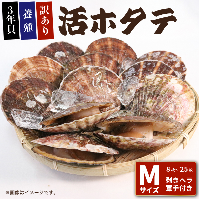 選べる 訳あり活ホタテMサイズ 8枚/18枚/25枚 (10cm~11cm) 軍手 ヘラ付き ほたて 刺身 おさしみ 刺し身 鍋 お鍋 バーベキュー BBQ 炙り 炙り焼き バター焼き 出汁 夕飯 おかず
