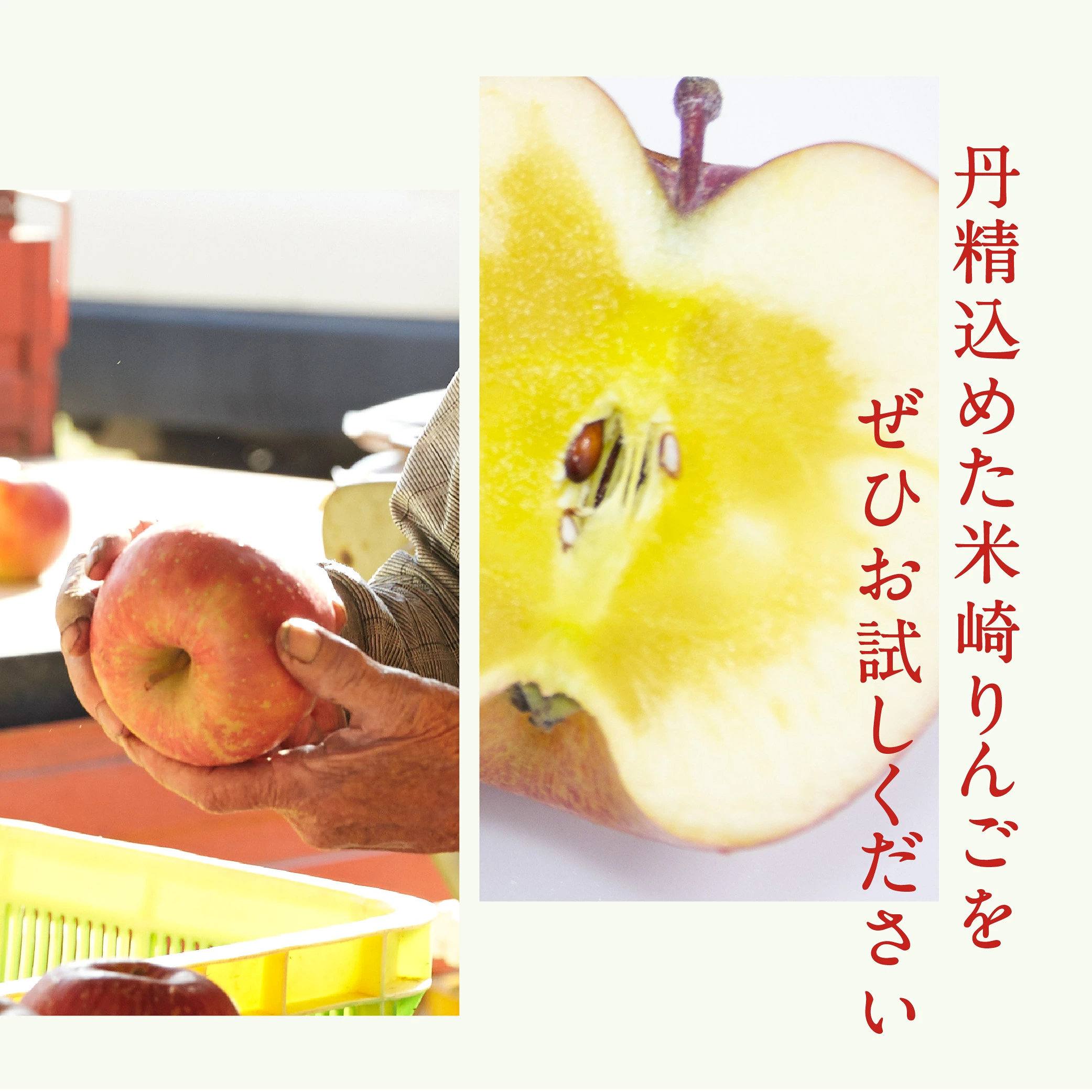 【2026年11月下旬~発送】りんご サンふじ 約3kg ご家庭用 高評価 【 米崎りんご 甘い 人気 フルーツ 果物 リンゴ 林檎 アップル 訳あり 】 RT671