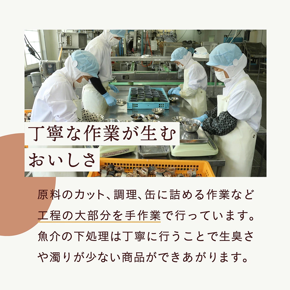 【高評価】 無添加 サバ缶 水煮 選べる 6缶~24缶 【 さば さば缶 魚 缶詰 セット 安心 無着色 海産物 ギフト 贈答 贈り物 備蓄 食料 長期保存 非常食 防災 菊詰め 国産 】 RT860