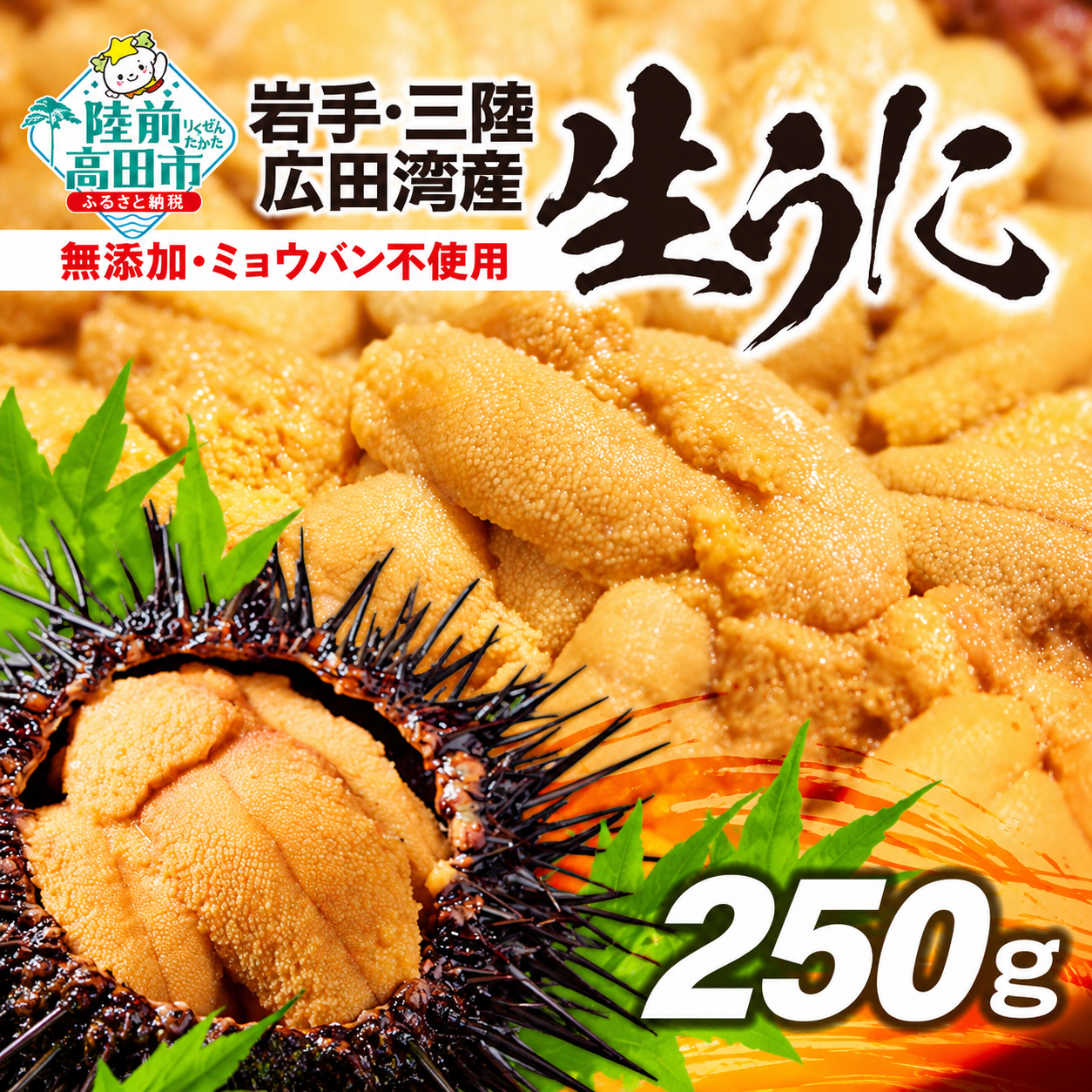 先行予約 生うに 250g ミョウバン不使用 うに 無添加 ムラサキウニ 2027年5月下旬から順次発送予定 RT2560