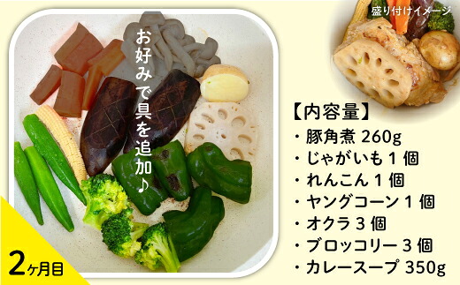北海道 札幌 ご当地グルメ スープカレー 食べ比べ 2ヶ月 定期便 【チニタ】