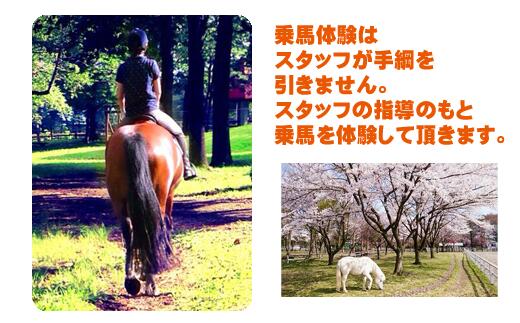乗馬体験 1回分 チケット 【馬っこパーク・いわて】