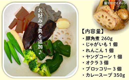 北海道 札幌 ご当地グルメ スープカレー 食べ比べ セット 【チニタ】