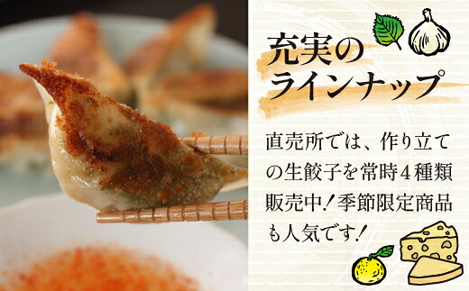 国産 冷凍 生餃子 食べ比べ 5種 計64個 タレ付き 【生餃子専門店ぽんぽこ】
